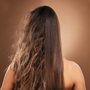 Frizz, heat damage and hair of a woman isolated on a brown background in a studio. Back, salon trea